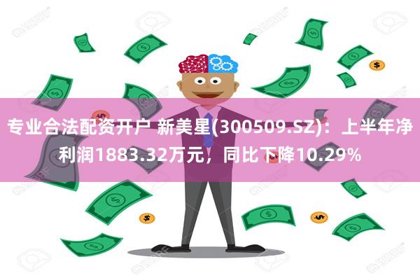 专业合法配资开户 新美星(300509.SZ)：上半年净利润