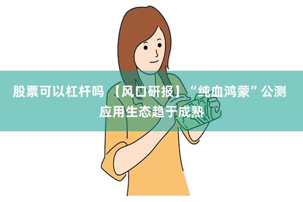 股票可以杠杆吗 【风口研报】“纯血鸿蒙”公测 应用生态趋于成