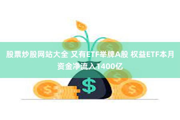 股票炒股网站大全 又有ETF举牌A股 权益ETF本月资金净流