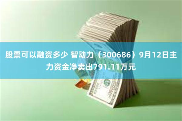 股票可以融资多少 智动力（300686）9月12日主力资金净