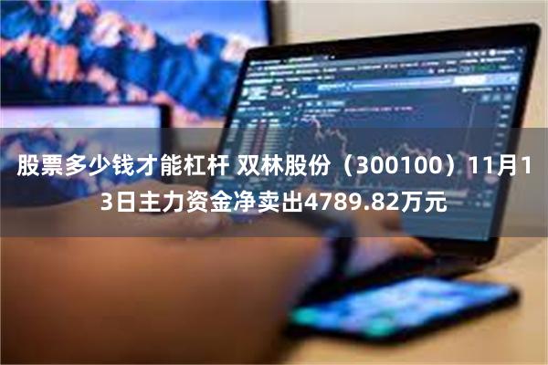 股票多少钱才能杠杆 双林股份（300100）11月13日主力资金净卖出4789.82万元