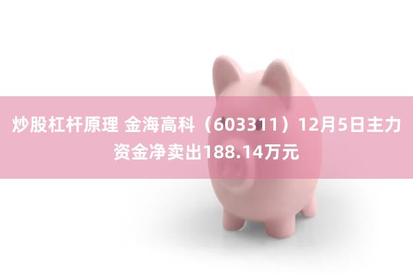 炒股杠杆原理 金海高科（603311）12月5日主力资金净卖出188.14万元