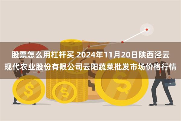 股票怎么用杠杆买 2024年11月20日陕西泾云现代农业股份