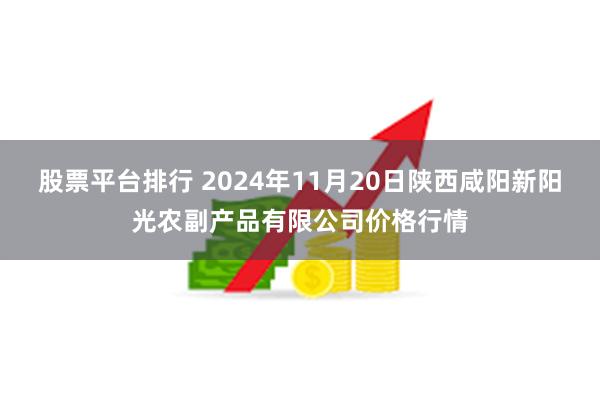 股票平台排行 2024年11月20日陕西咸阳新阳光农副产品有