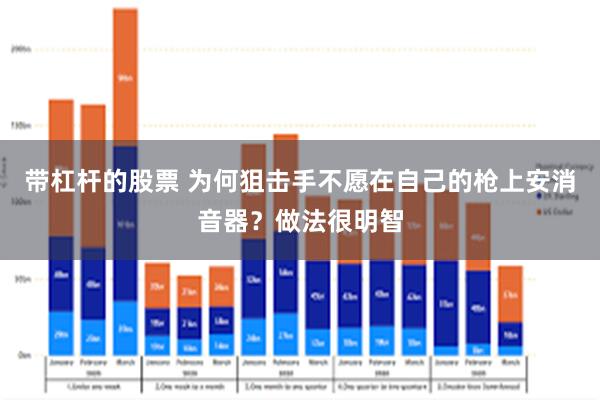 带杠杆的股票 为何狙击手不愿在自己的枪上安消音器？做法很明智