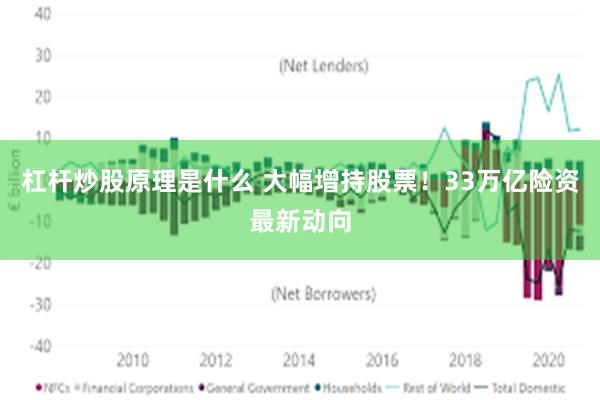 杠杆炒股原理是什么 大幅增持股票！33万亿险资最新动向