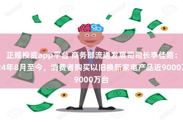 正规投资app平台 商务部流通发展司司长李佳路：2024年8