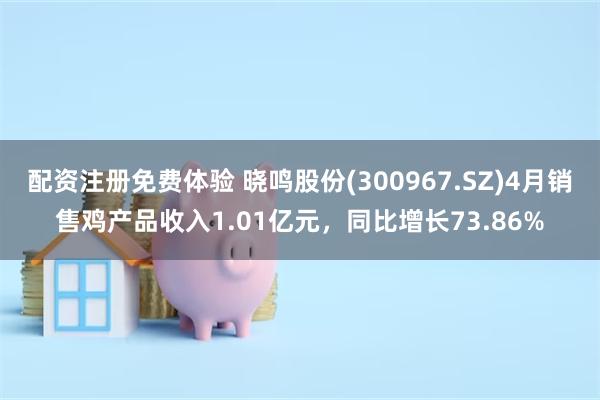 配资注册免费体验 晓鸣股份(300967.SZ)4月销售鸡产